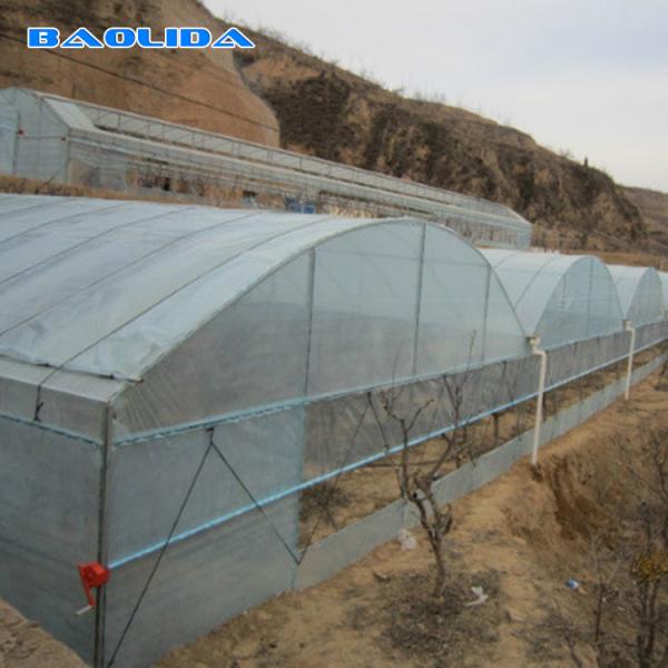 Multispan Plastic Film Greenhouse With Drip Irrigation System Plant Nursery Grow Tent