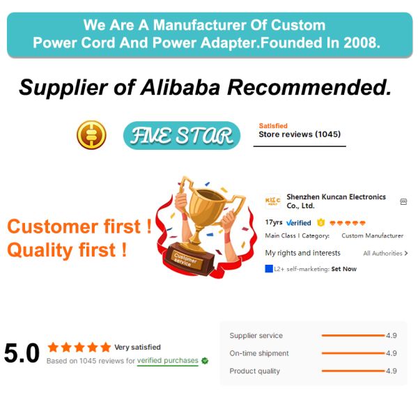 1.0mm² 250V Twist-Locking AC Power Cable for Professional Lighting and Sound Equipment