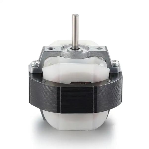 Single-phase 50/60Hz 110v 220v 15W Low Noise AC Motor with and Professional Design