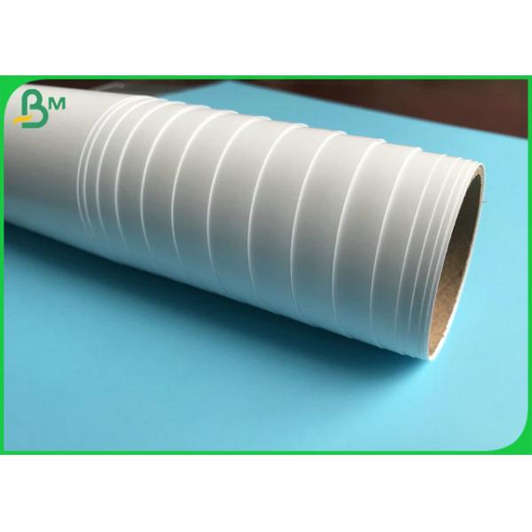 Eco - rollo brillante del papel de la foto del chorro de tinta de la impresión de 150gsm 190gsm 200gsm 250gsm de la cartulina del rollo amistoso del papel para las impresoras de HP