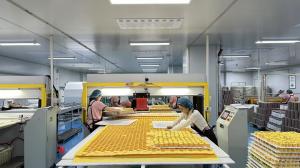 Henan Betterly  Sanitary Materials Co., Ltd.