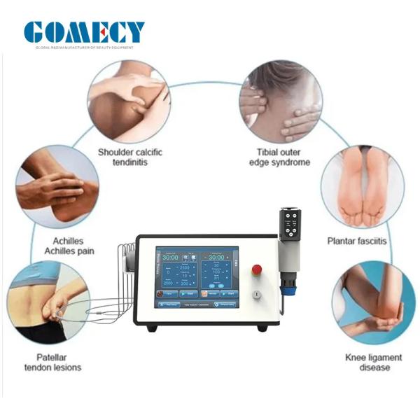 OEM EMS Therapy Machine 2 In 1 448khz Tecar Physiotherapy Machine For Pain Relief