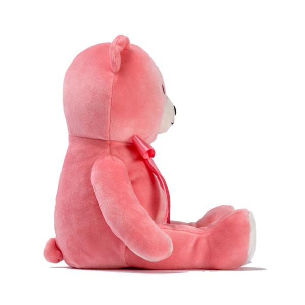 аттестация подарков CPSIA партии дня плюшевых мишек 30cm небольшая заполненная