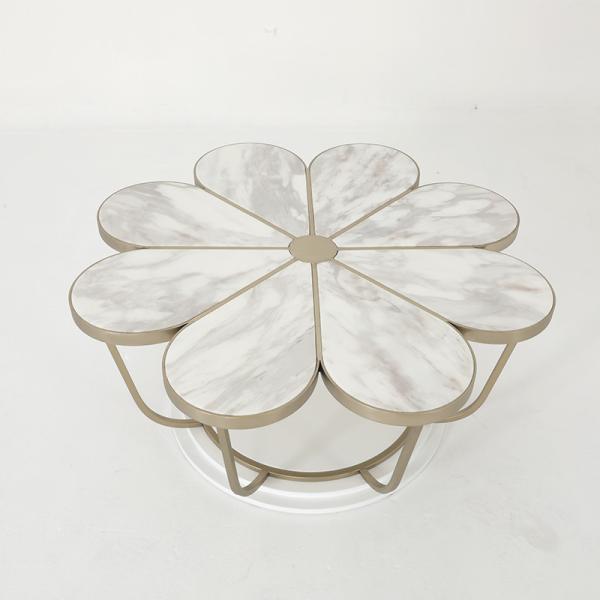 Living Room Stainless Steel Round Certral Coffee Table  With Brushed Gold Satin Finish Natural Marble Top Metal Legs