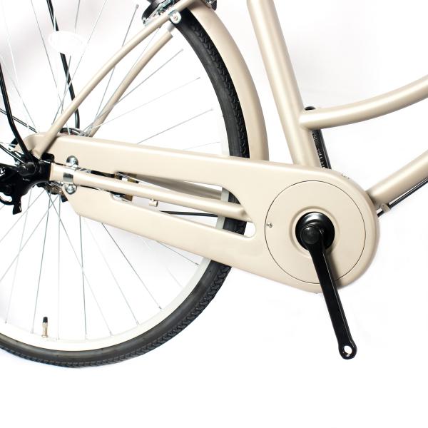 Vintage Bike Lady Bike 26 Inch With Caliper Brake Single Speed Adult Bicycle