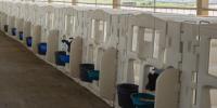 A caneta de alta qualidade feita de LLDPE branco é a escolha ideal para a criação segura e confortável de bezerros