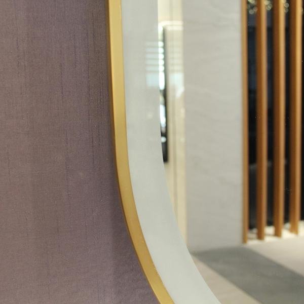 Stainless Steel Oval Framed Wall Mirror with LED Light Luxury Golden Color W60xH100cm