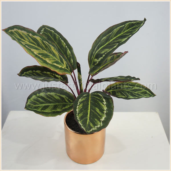 Natural Looking Small Calathea Faux Monstera Plant 42CM Bonsai With Ceramics Pot