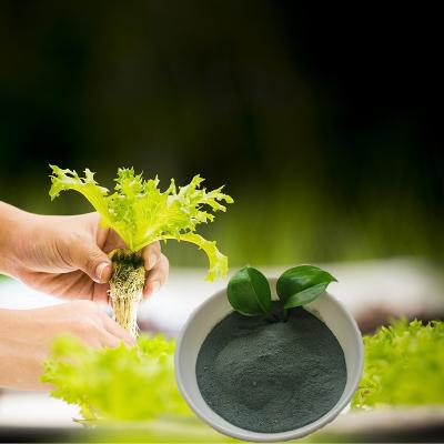 O ácido aminado do Hydrolysate da proteína de soja Chelated o adubo orgânico de cobre dos micronutrientes