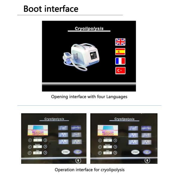 home use portable cryolipolysis device/cryolipolysis machine/cryolipolysis fat reduce machine LF-213