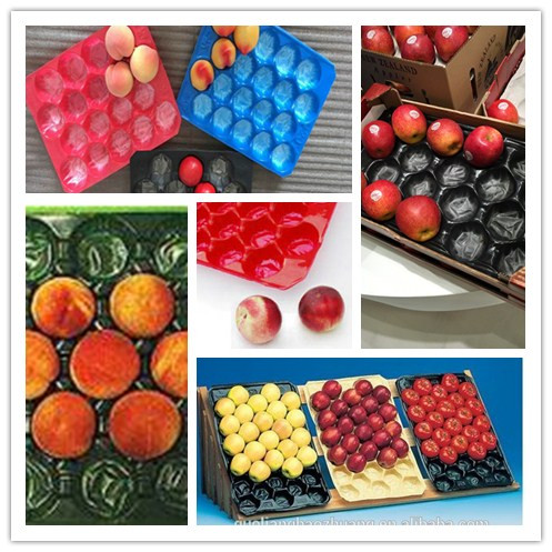 15LB 30g 0.11mm Thickness Tomato Protective Packing Plastic Trays for Fresh Fruit and Vegetable Best Selling Canada and Mexico