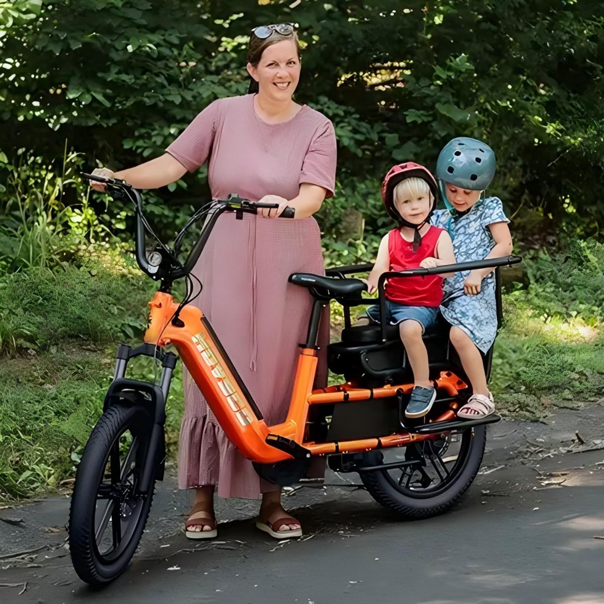 German Warehouse HovCart EU/US/AU Stock Electric City Cargo Bike for Two Children with Protection Seat Torque Sensor Fat Tire