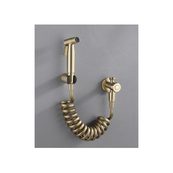 Современная гостиница почистила установленную стену щеткой Shattaf биде туалета давления золота высокую