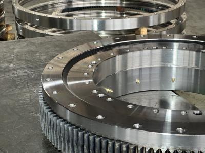 131.25.560 Extra Tooth Cross Roller Slewing Bearing slewing Ring Swing Gear Turntable