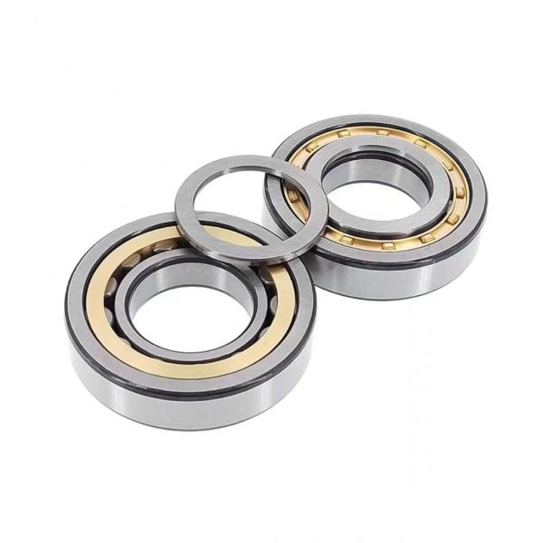 Oil Grease Lubrication N319EM Brass Cage Roller Bearing N319 for High Load Capacity