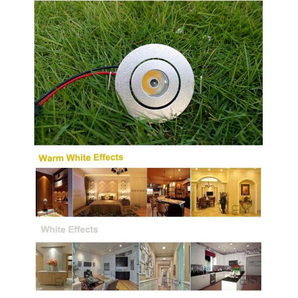 Mini Warm White Cool White 1W LED Downlights For Cabinet