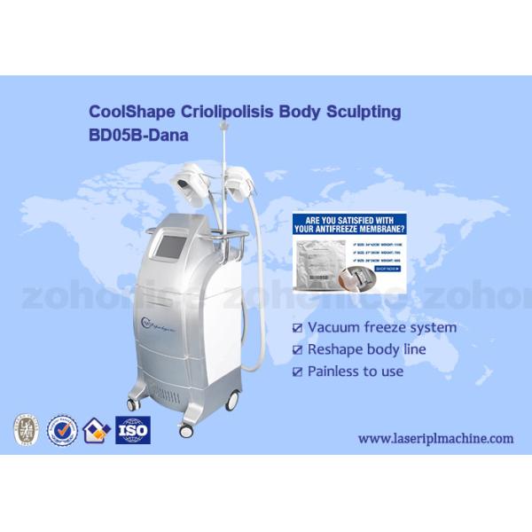 Non - invasive Criolipolisis Slimming Machine cryotherapy fat removing machine