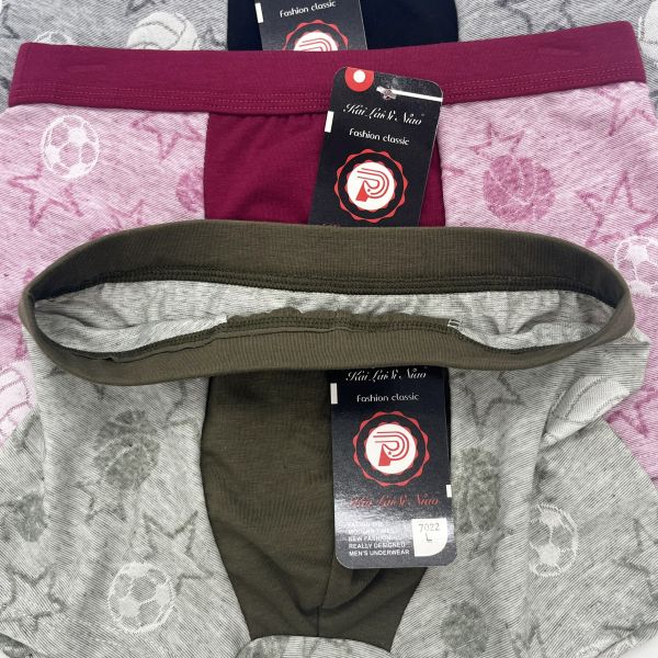 New Style Hot Selling High Quality Boys Boxer Underpants Comfortable Fashion Boxer Briefs at Wholesale Price