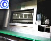 Máquina automática de fazer bandejas de frutas pesadas