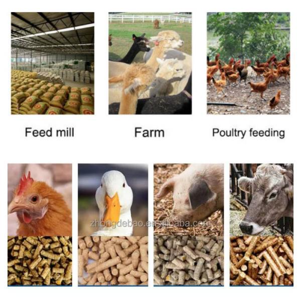 Пелетная мельница для кормов для животных, управляемая трактором PTO Biomass Pellet Mill