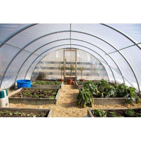 Greenhouse, Agricultural Polyethylene Film, Mulch Films, Horticultural Products, Perforated Wrap, Tomato, Flowers