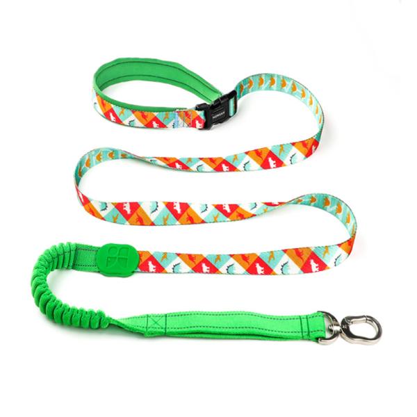 50 Ft 10 Foot Sublimation Dog Lead Pet Leash Harness Leash Combo