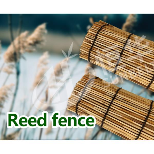Natural Wicker Fence Panels Roller Light Weight Willow Fence For Yards Privacy