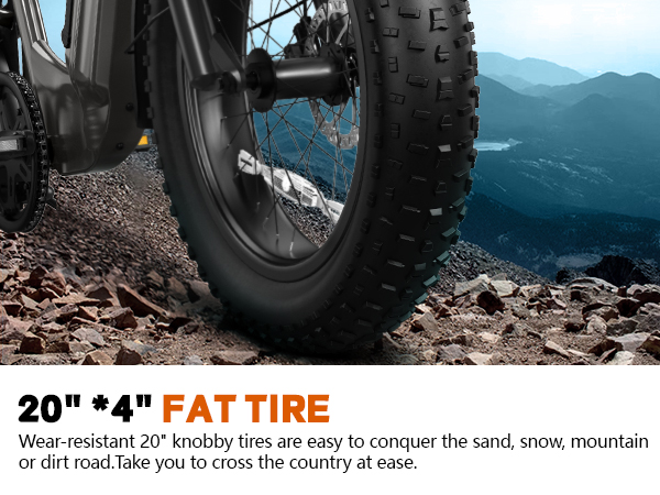 20 Inch Electric Cargo Bike 48V 750W Folding Urban Commuter Ebike for Family Kids Pets Large Rack City Transport