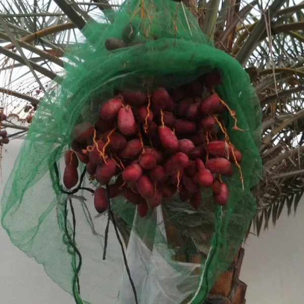 ANTI INSECT BAG DATE MESH BAG MONO MESH BAG RASCHEL MESH BAG LENO MESH BAG ONION MESH BAG POTATO MESH BAG Shade Net balcony net Roll Window Blinds