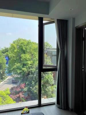 Retractable Screen Window Fiberglass Fly Screen Window Customized Insect Fly Window