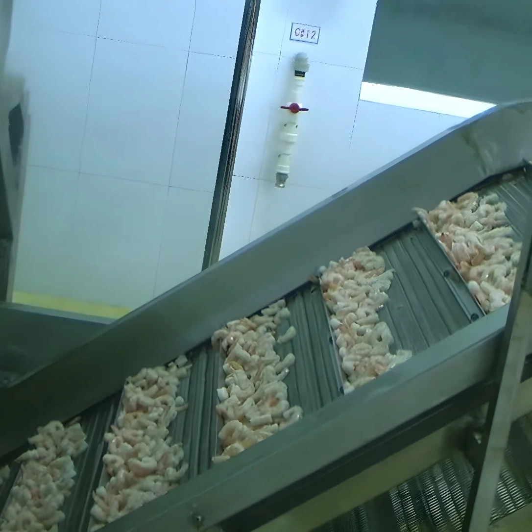 Automatic Fish Processing Plant Equipment 1000kg-1500kg Multi Function