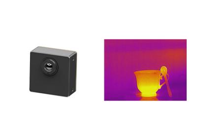 Módulo térmico 256x192 Uncooled da câmera do OEM/12μm para a câmera da visão noturna