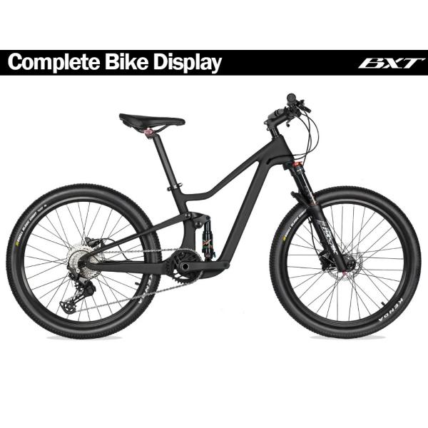 24 bicis llenas de la suspensión de la bici de montaña del carbono del adolescente de la pulgada W/Shimano 10Speed