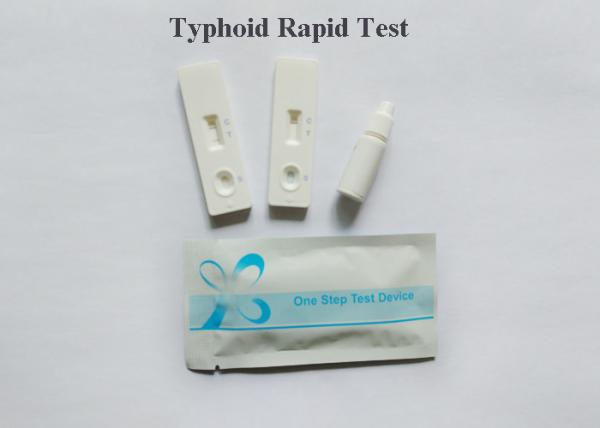 Reliable Typhiod Bacterial Infection Blood Test  Medical Diagnostic Highly Accurate
