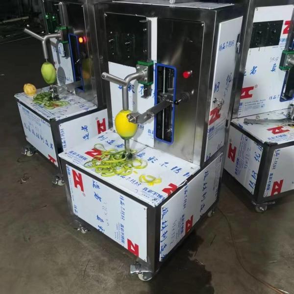 Full Set Canned Fruit Pineapples Orange Mango Litchi Lychee Production Line Food Canning Machine