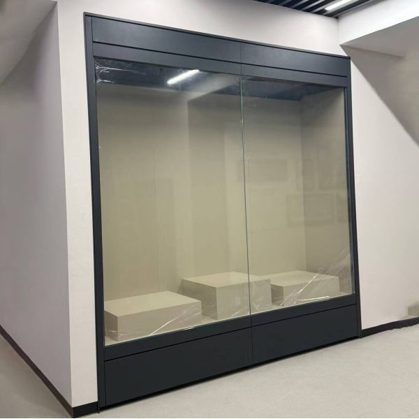 Big Wall Vitrine with Electric Motion Controlled Surface Or Built for Museum Display