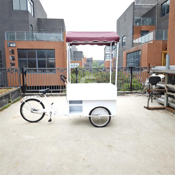2200*900*2000mm Cold Drink Ice Cream Vending Tricycle Popsicle Display Tricycle Bicycle