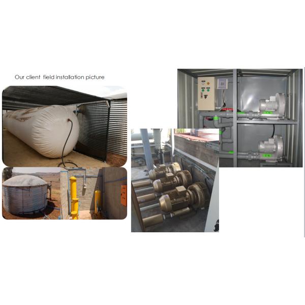 5.5 Kw Goorui Anti Explosion Single Stage Vacuum Pump Blower In Biogas Conveying