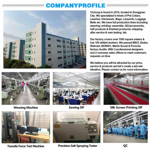 Изготовленное на заказ роскошное руководство проводки собаки логотипа установило зеленый Retractable поводок собаки