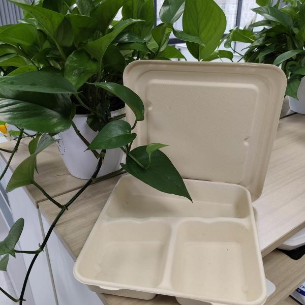 Directly supplied by Chinese manufacturers. Disposable environmentally friendly pulp-molded lunch boxes are made of sterile food-grade plant fibers and are biodegradable.