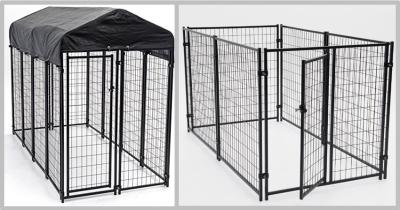 Enclosed Heavy Duty Dog Kennel Length Powder Coating 10ft Width 5ft Heigh 6ft