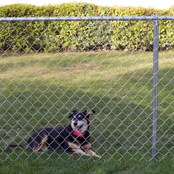 Material Galvanized Iron Wire Or PVC Coated Iron Wire PVC Sprayed Electric Galvanized Chain Link  Fence