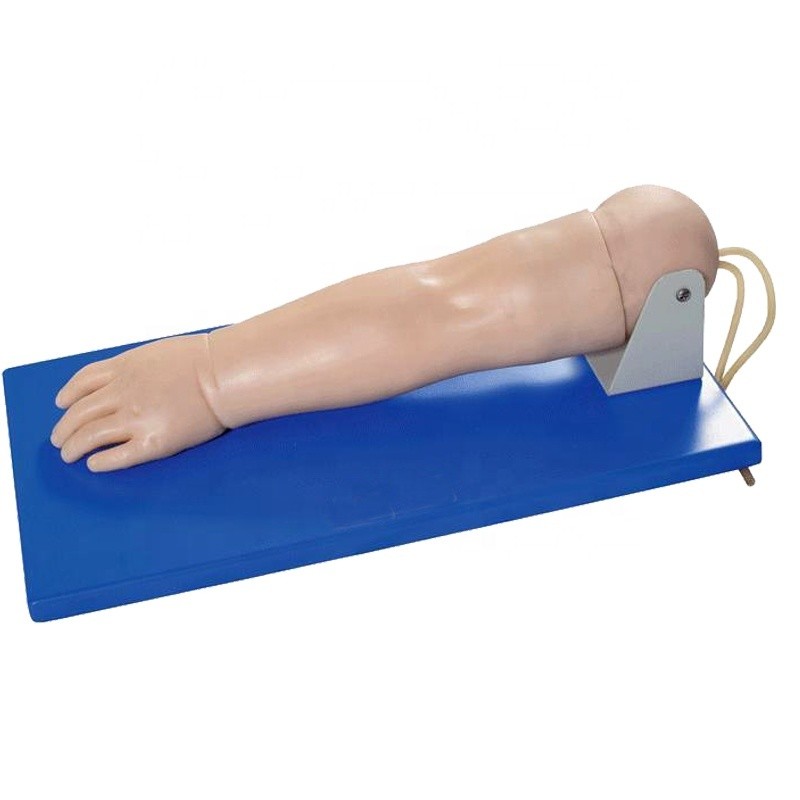 Advanced Pediatric Venipuncture Arm for Patients Care Demonstration Human Life Size