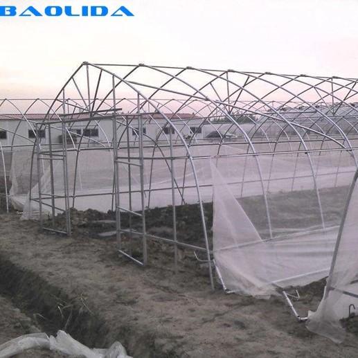 Farm Tunnel Polyethylene Film Greenhouse / Clear Plastic Greenhouse For Various Vegetables