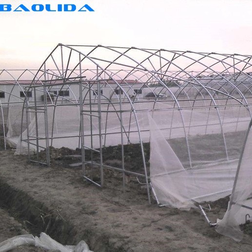 High Strength Agricultural Poly Tunnel Tomato Greenhouse 5*15m 17*50ft