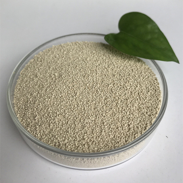 Habio Enzymatic Lipase Nutrition Improve Absorption And Utilization Biodiesel