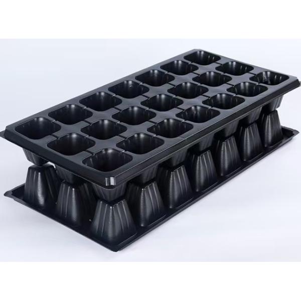 21 Hole Black Microgreen Growing Trays PET Plastic For Planting Vegetable
