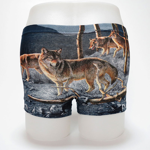 Men's Underwear Boxers Shorts Fashion Soft Boxers unique large Mens Underwear Boxer Shorts