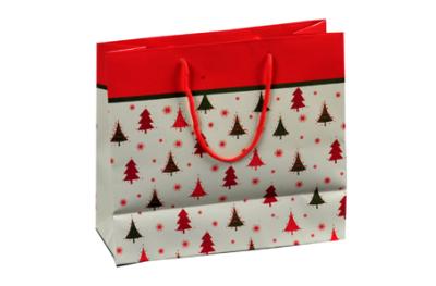 Chirstmas paper bag 02