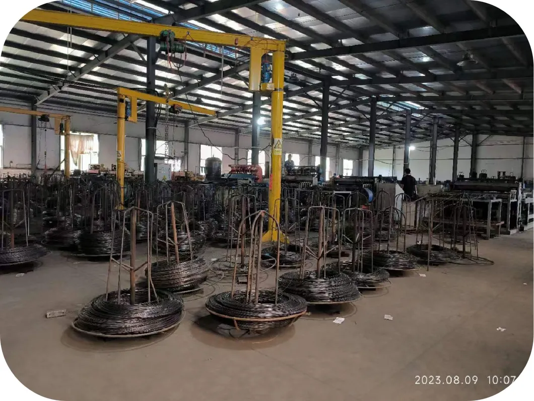 Automated H Type Battery Cage Hot Galvanized Material 544 Birds/Unit Poultry Farming